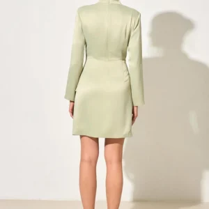 setrenil-yesili-baglama-detayli-balikc-9ca0-9